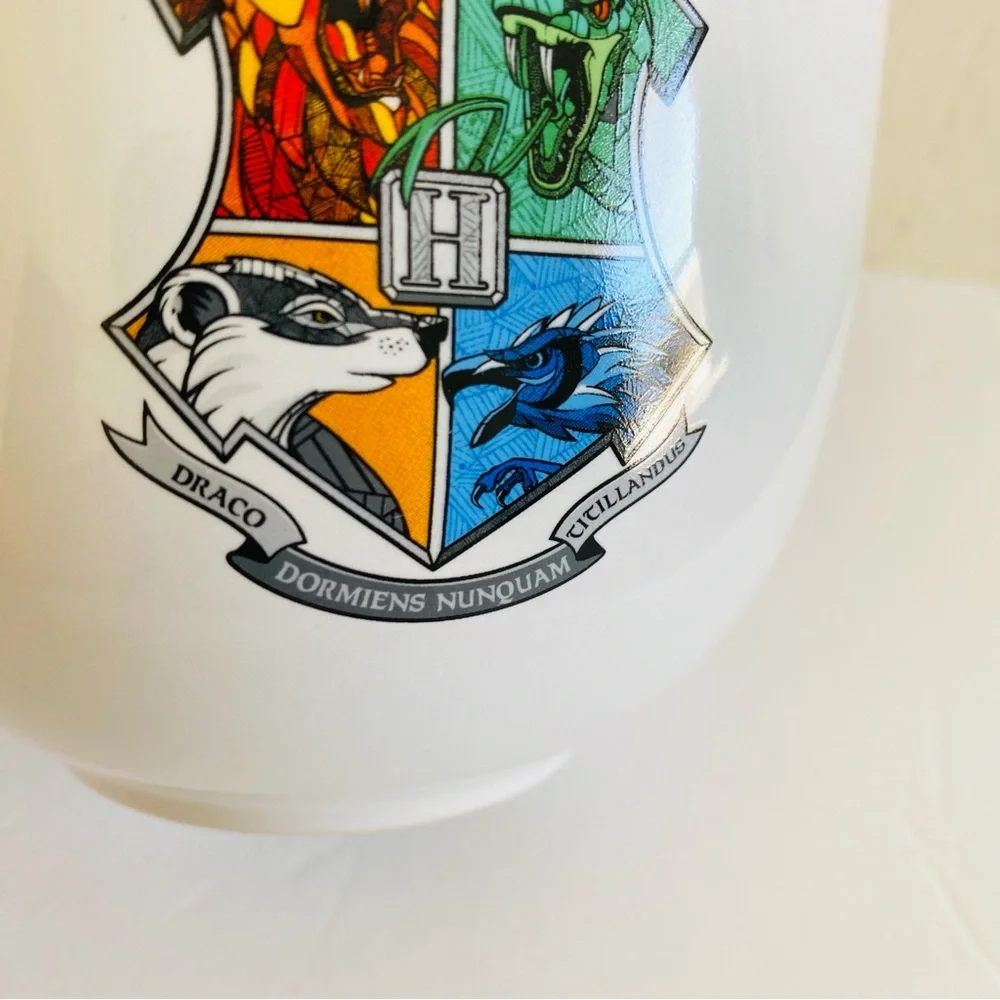 Harry Potter Hogwarts 20 oz Ceramic Ramen Bowl Dark Academia Fantasy Magical
